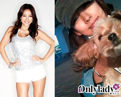 近期逝去的明星，璀璨之星的黯淡落幕