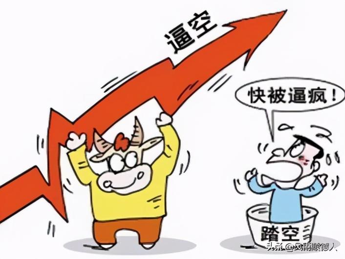 德指數(shù)行情深度解析及市場走勢預(yù)測