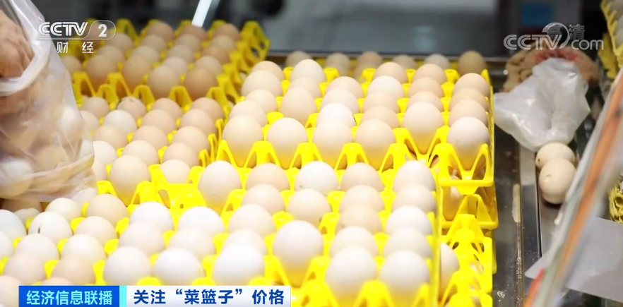 浙江今日雞蛋價格行情概覽與深度分析