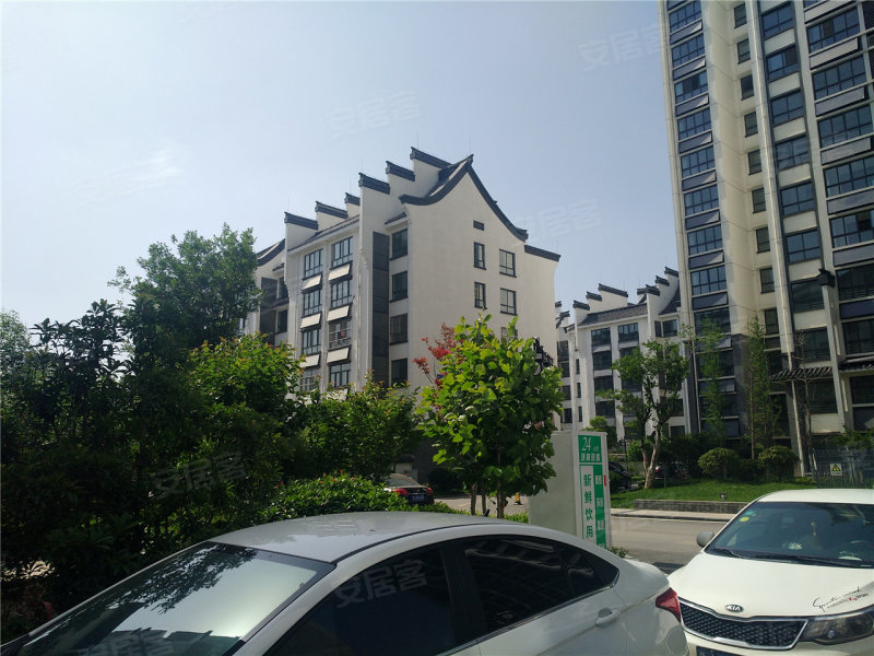 肥城龍山一品最新房價(jià)，時(shí)代印記與市場脈動(dòng)的交織