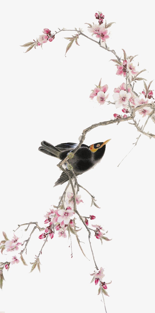 隱藏在巷子深處的花鳥圖藝術(shù)寶藏揭秘