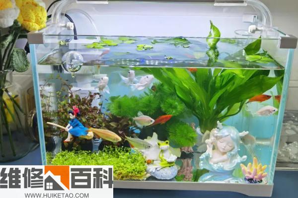 水族箱最新排名揭秘，巷弄深處的隱藏寶藏