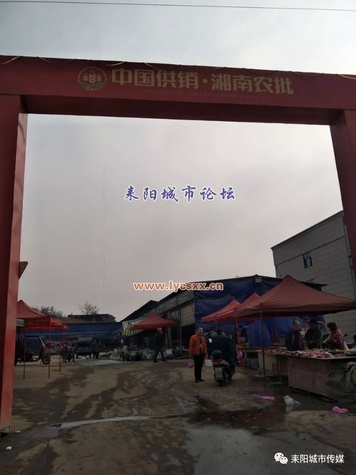 湘南大市場最新動態(tài)，一場溫馨的市場奇遇探索