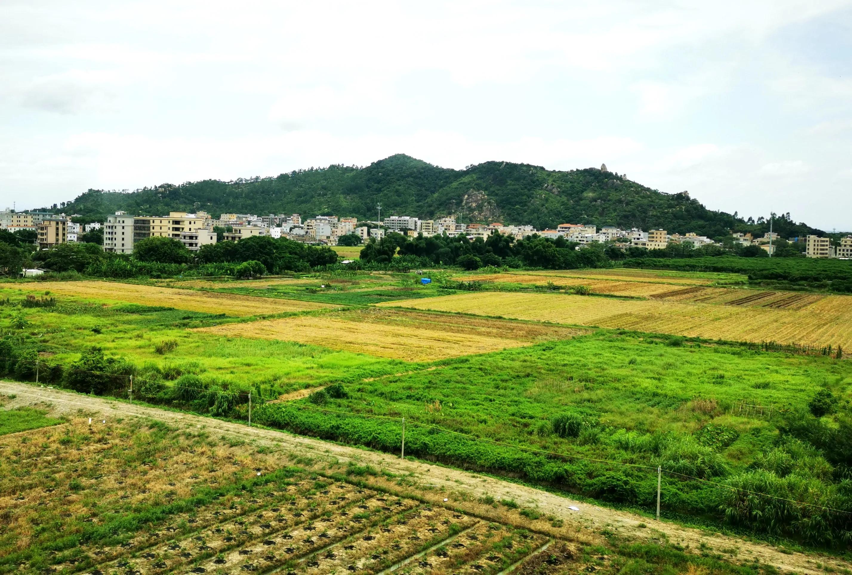 廈門至深圳高鐵提速最新動態(tài),廈門至深圳高鐵提速最新動態(tài)，速度與情感的雙重旅程