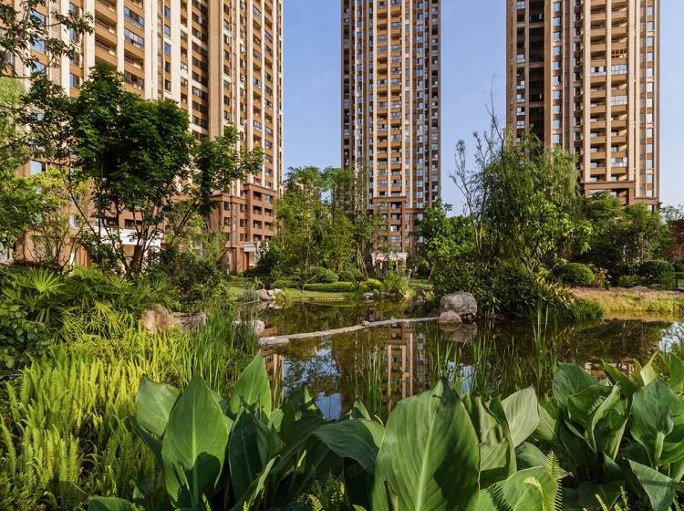 北湖國際城最新房價(jià)信息與自然美景探索之旅