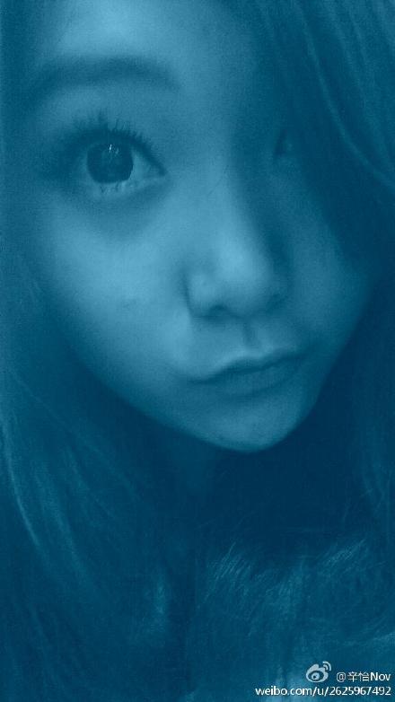 辛怡最新動態(tài),多面視角的深入探討與解析