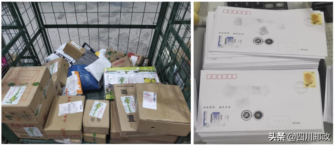 萬(wàn)開(kāi)快速通道最新動(dòng)態(tài)與日常奇妙之旅