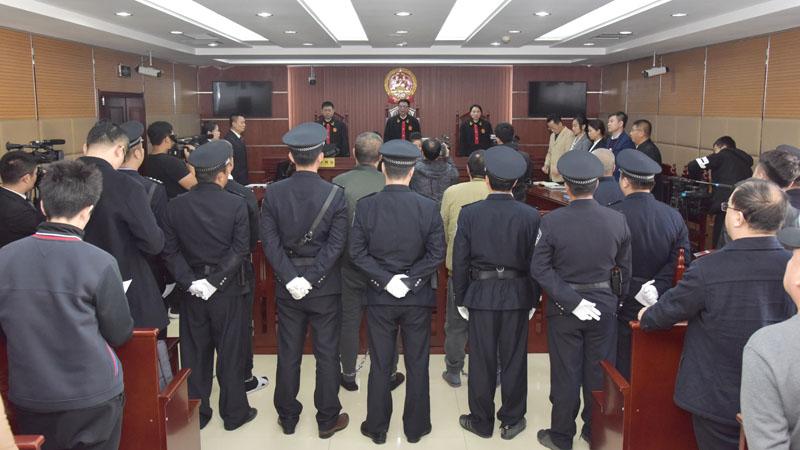 蘇家屯最新交易信息解析與概覽