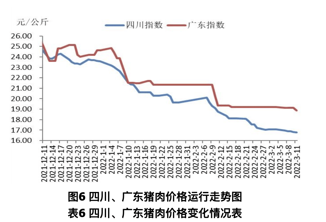 廣州豬價格行情，變化中的學(xué)習(xí)，展現(xiàn)自信與成就的力量