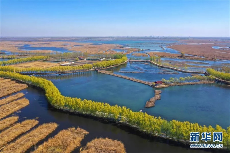 雄安新區(qū)公司最新動(dòng)態(tài)更新