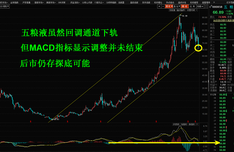 股票趨勢理論的深度分析與個人觀點探討