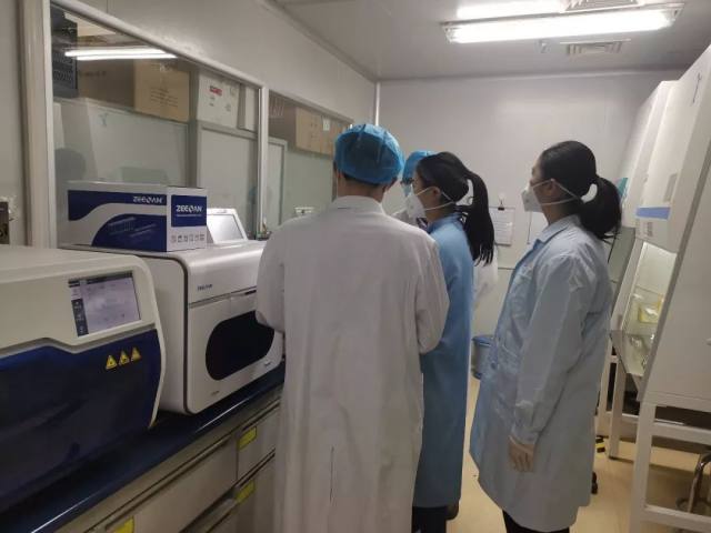 全球關(guān)注下的非典最新資訊與觀點分析