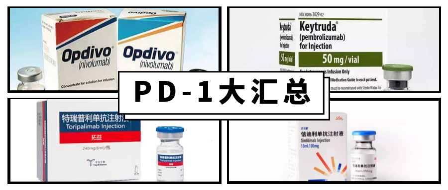 拓益最新價格及市場動態(tài)深度解析