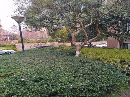 常熟老街房價(jià)動態(tài)與溫情故事回顧