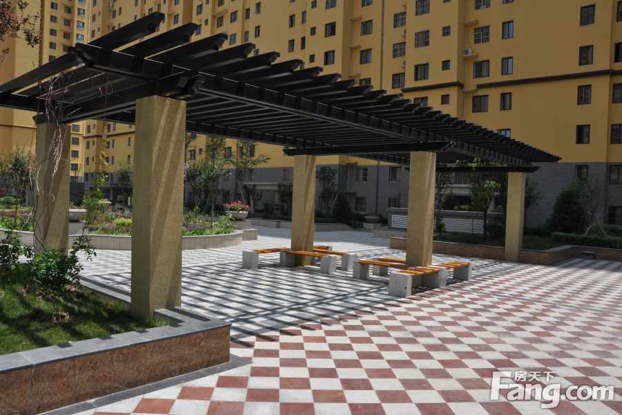 北沙口紫境城動態(tài)更新,北沙口紫境城的溫馨日常