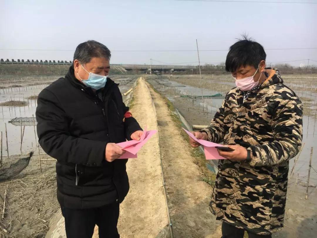 高淳古柏開發(fā)區(qū)最新招聘信息速遞