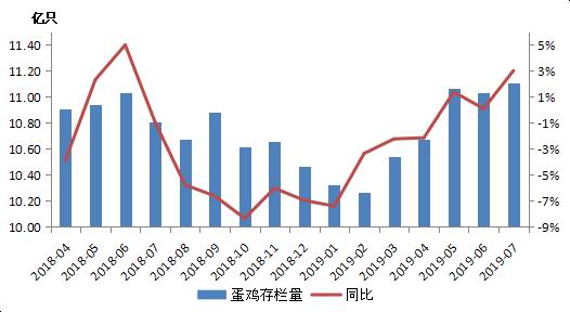 最新淘汰雞價格動態(tài)更新