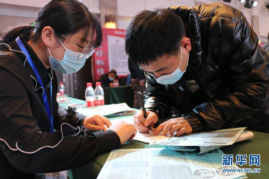 雙橋招聘信息深度解析與觀點(diǎn)闡述