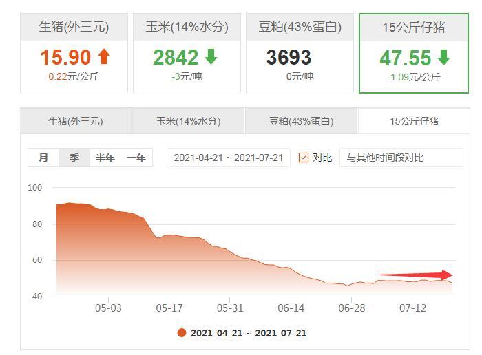今日豬仔市場行情概覽