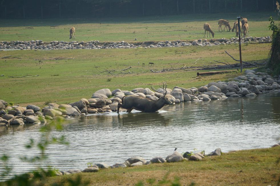 最新潮流小河的日常趣事探秘