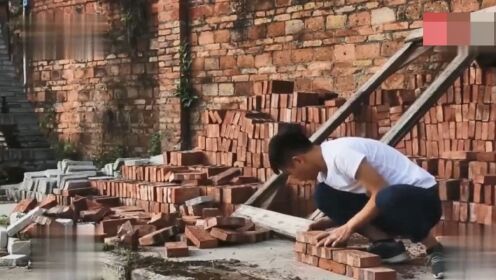 搬磚小偉最新動態(tài)揭秘，大自然中的治愈之旅