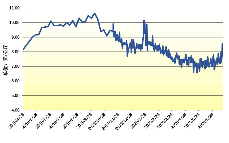 科技賦能下的夏橙新紀(jì)元行情分析