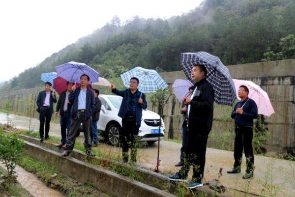 鄖西最新資訊概覽