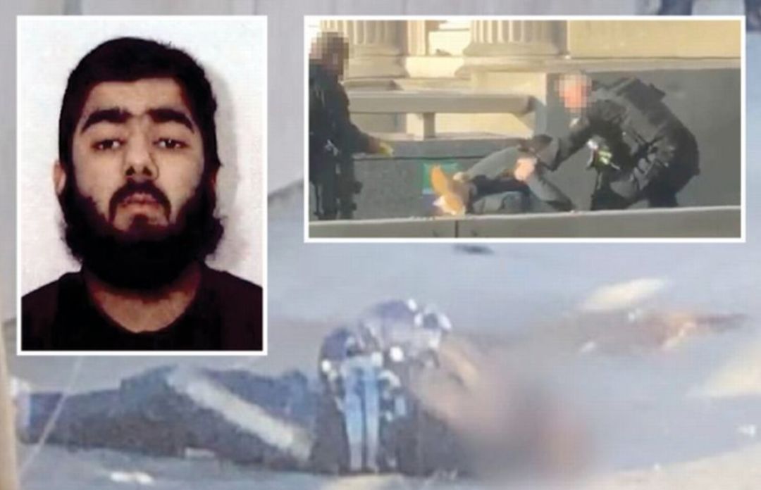 最新恐怖分子殺人視頻,最新恐怖分子殺人視頻——變化的力量與自信的成就