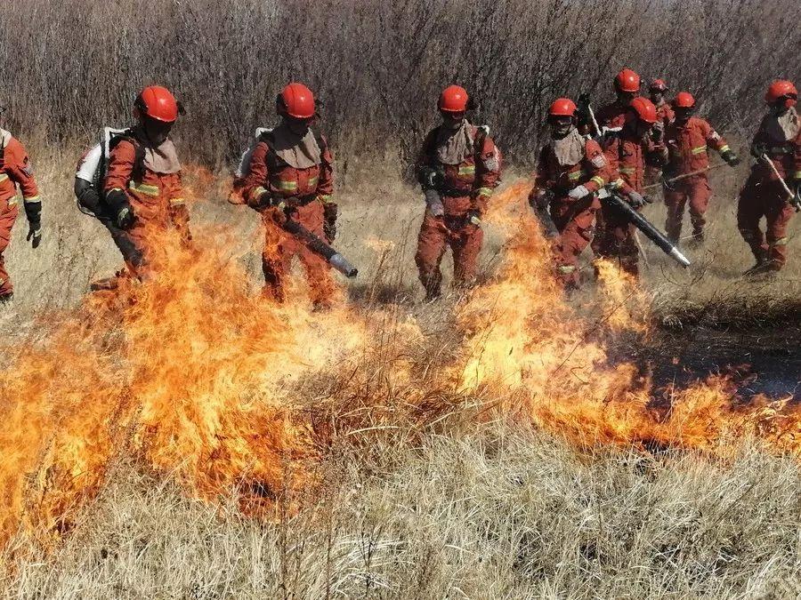 浙江省汽油價格全面解析與深度洞察