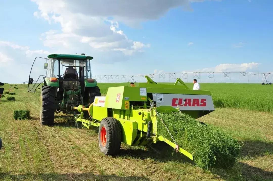 股票收益互換深度解析及觀點(diǎn)闡述