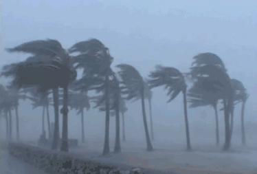 江門(mén)臺(tái)風(fēng)最新動(dòng)態(tài)及觀點(diǎn)論述