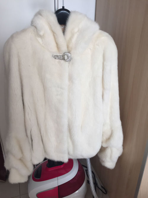 貂皮最新行情深度解析與趨勢展望