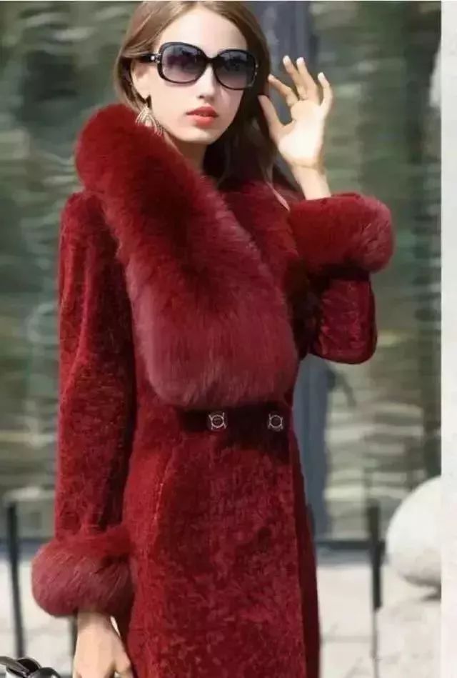 貂皮最新行情深度解析與趨勢展望