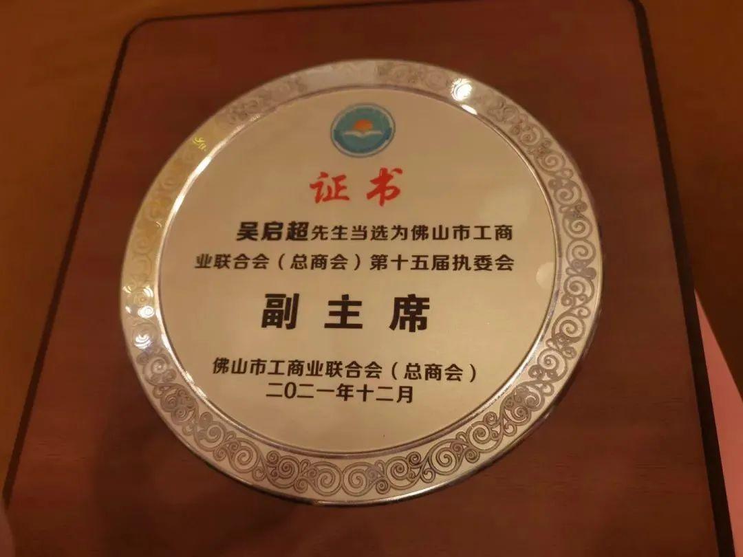 天安新材股票投資潛力與前景展望分析