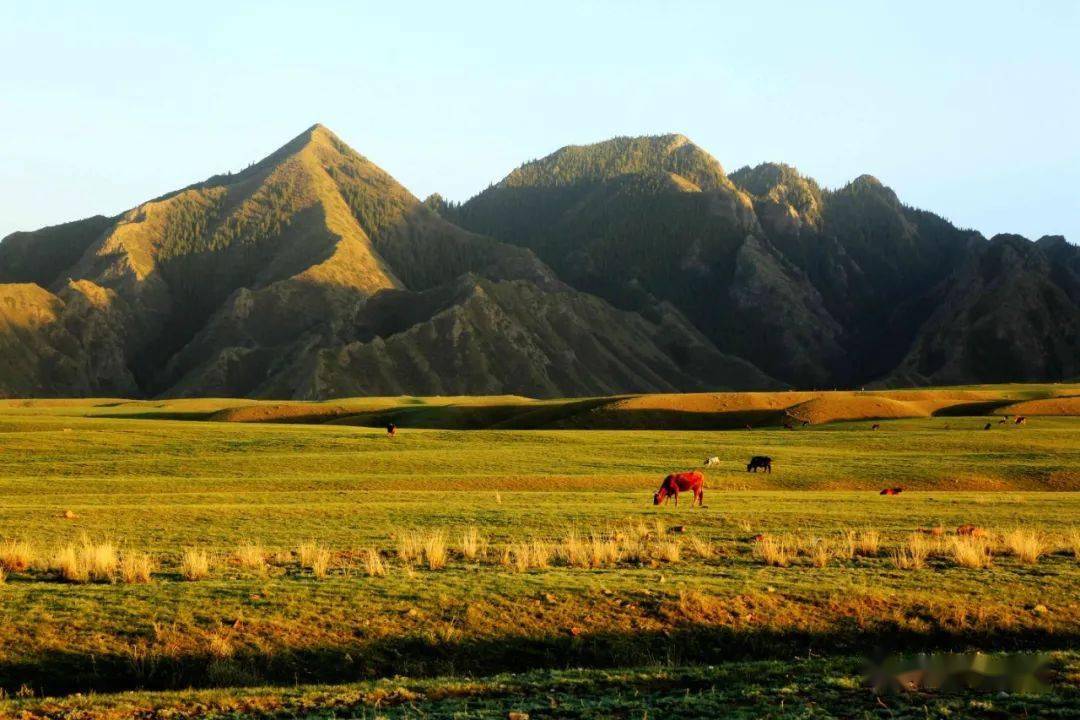 abcde五位同學(xué)的智慧與策略象棋大戰(zhàn)