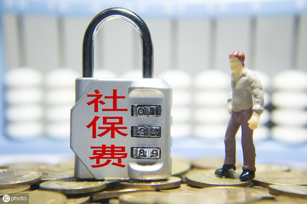 最新社保繳費(fèi)比例與小巷深處的獨(dú)特風(fēng)味探索