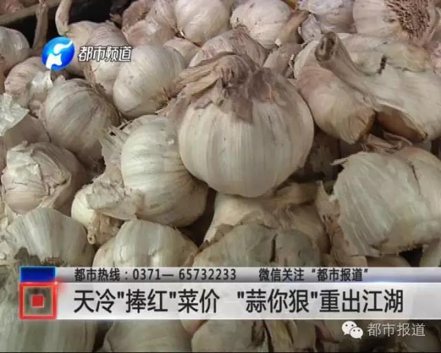 今年大蒜行情深度解析及應(yīng)對策略指南