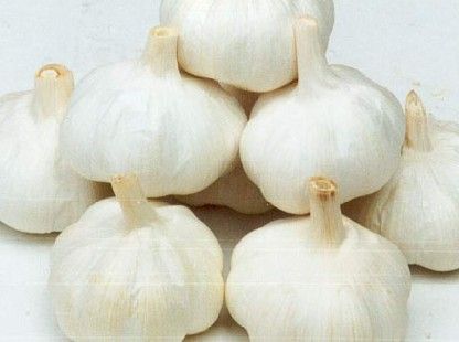 今年大蒜行情深度解析及應(yīng)對策略指南