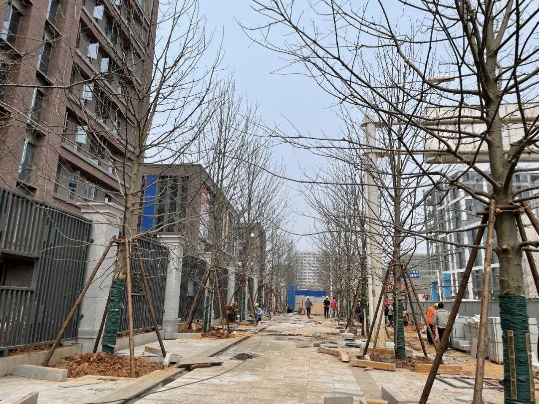 武漢盤龍城最新規(guī)劃展示圖詳解及步驟指南