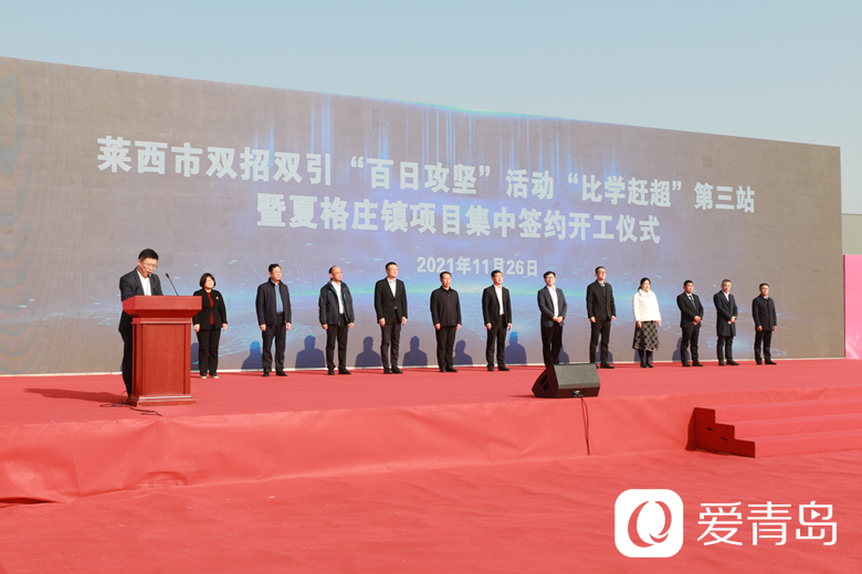 萊西市里最新招聘情況解析與觀點論述