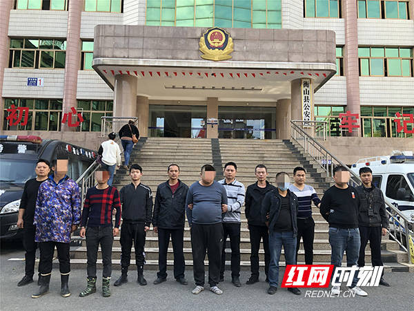 洞口紅網(wǎng)最新消息揭秘,小巷深處的獨(dú)特風(fēng)味