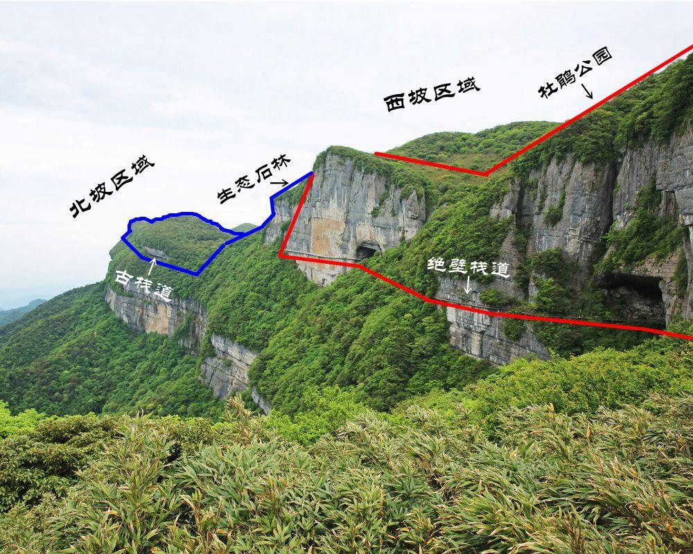 重慶輕軌環(huán)線最新消息,重慶輕軌環(huán)線最新消息之我見(jiàn)