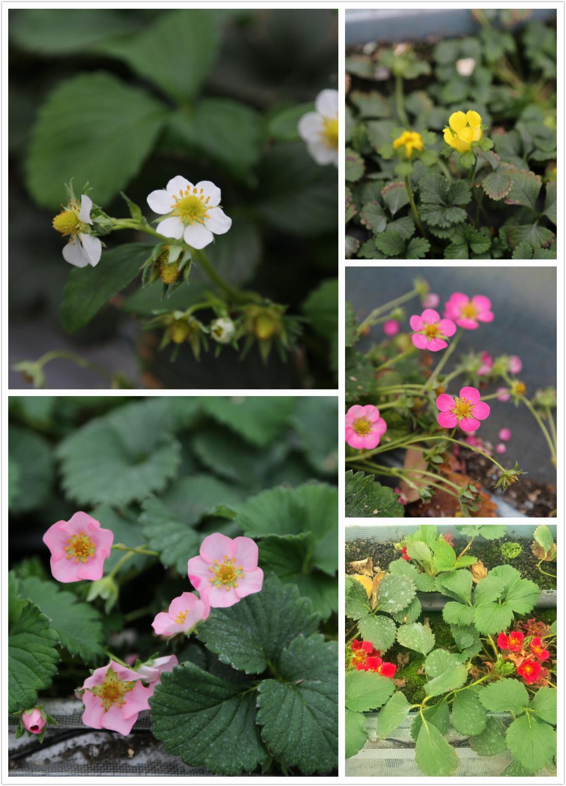 淮南市最新地圖版本的價值與影響分析