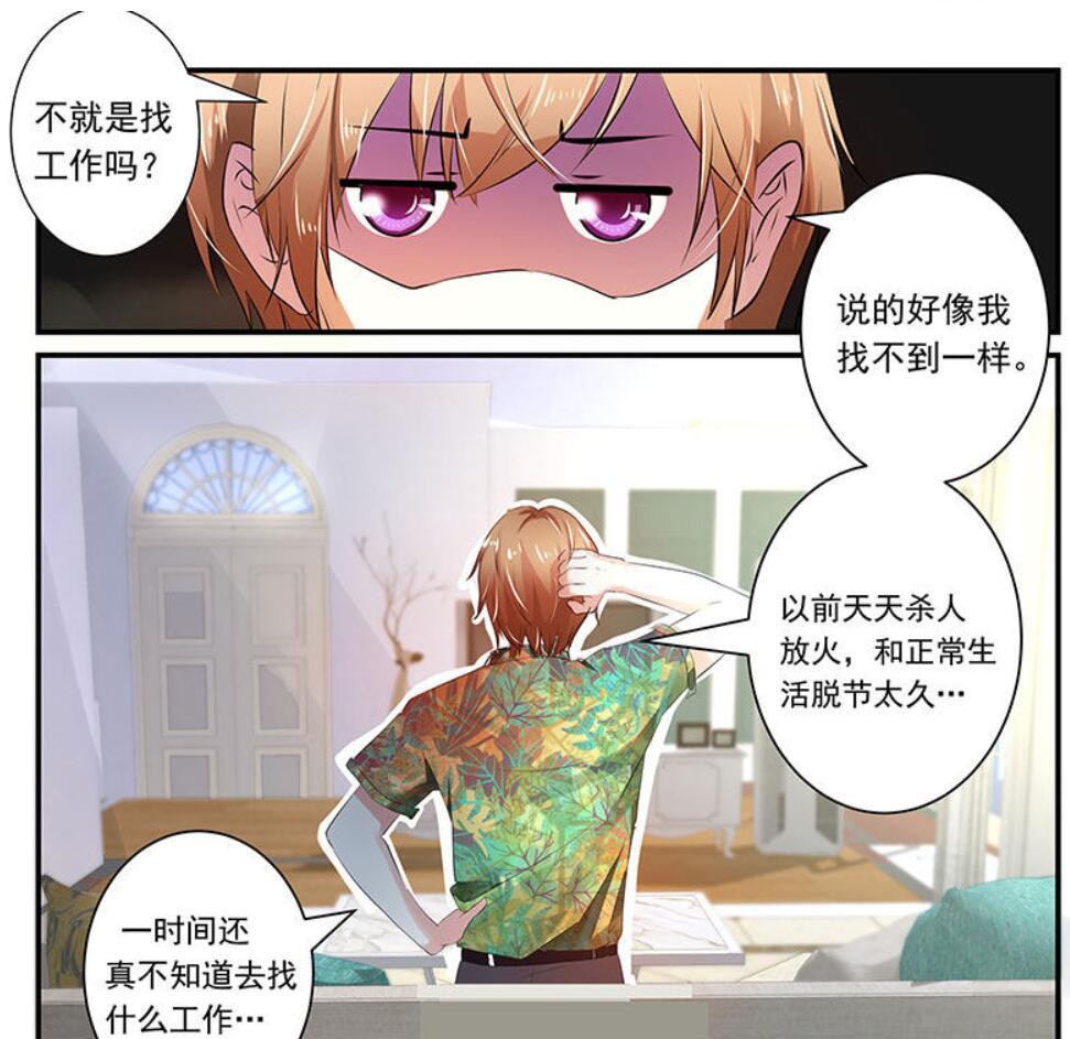 沈浪蘇若雪最新章節(jié)深度解析與期待更新揭秘