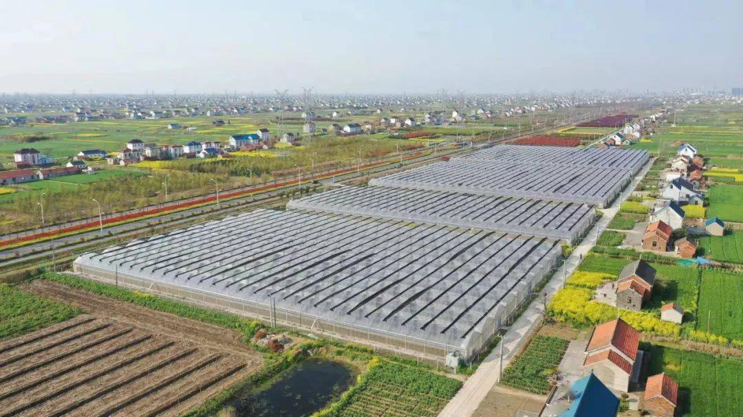 最新農(nóng)業(yè)項(xiàng)目引領(lǐng)重塑農(nóng)業(yè)未來