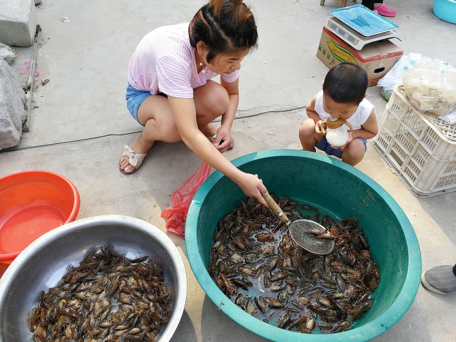 鎂的最新價格,友情與金屬價值的交織故事