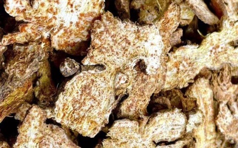 蒼術現(xiàn)在最新價格,蒼術最新價格探析