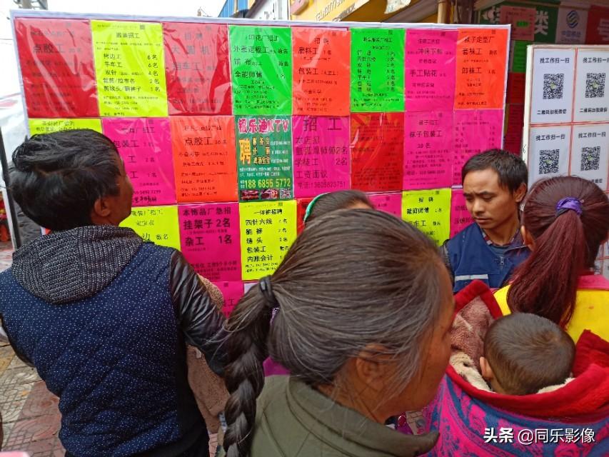 東陽最新招聘信息及其獲取步驟指南