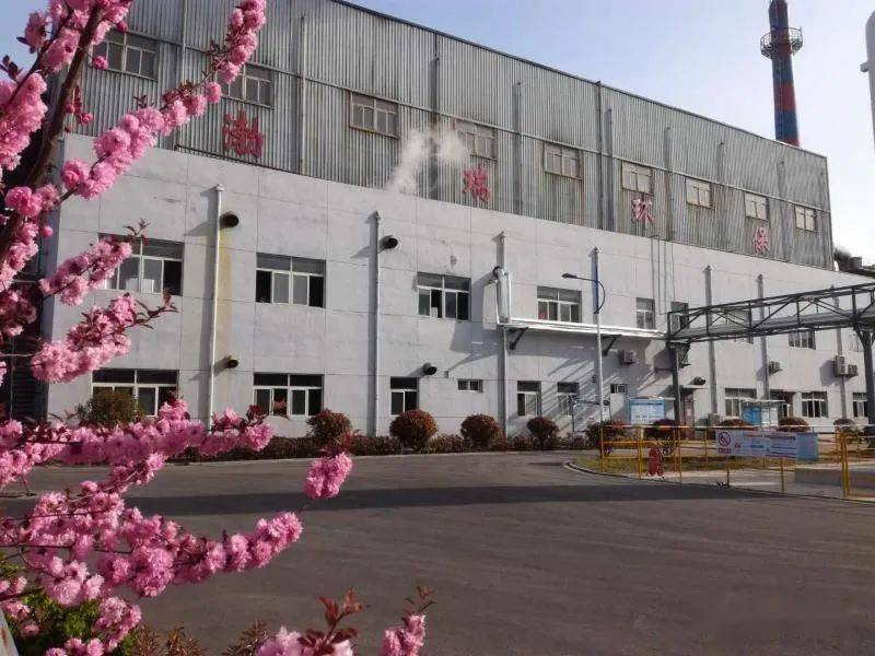 新河化工園最新招聘日常趣事概覽