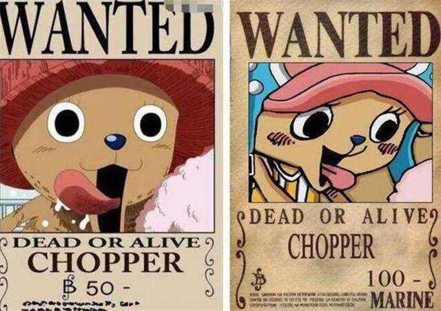 海賊王最新懸賞令圖片解析與觀點闡述